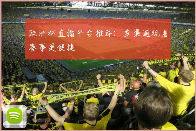 欧洲杯直播平台推荐:多渠道观看赛事更便捷