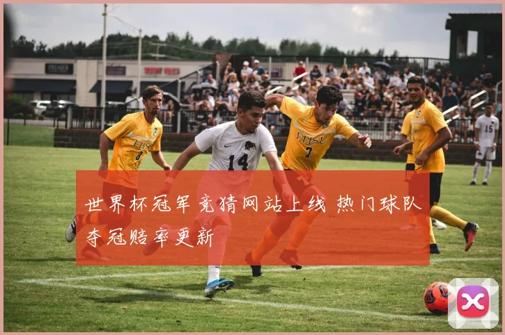 世界杯冠军竞猜网站上线 热门球队夺冠赔率更新