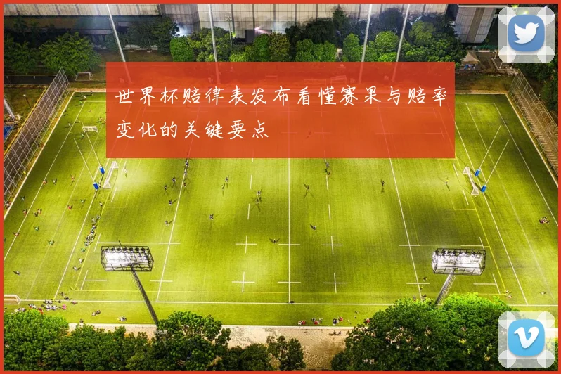 世界杯赔律表发布看懂赛果与赔率变化的关键要点