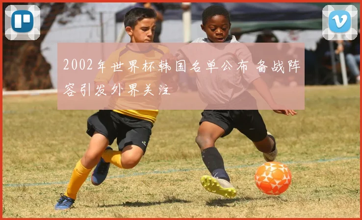 2002年世界杯韩国名单公布 备战阵容引发外界关注